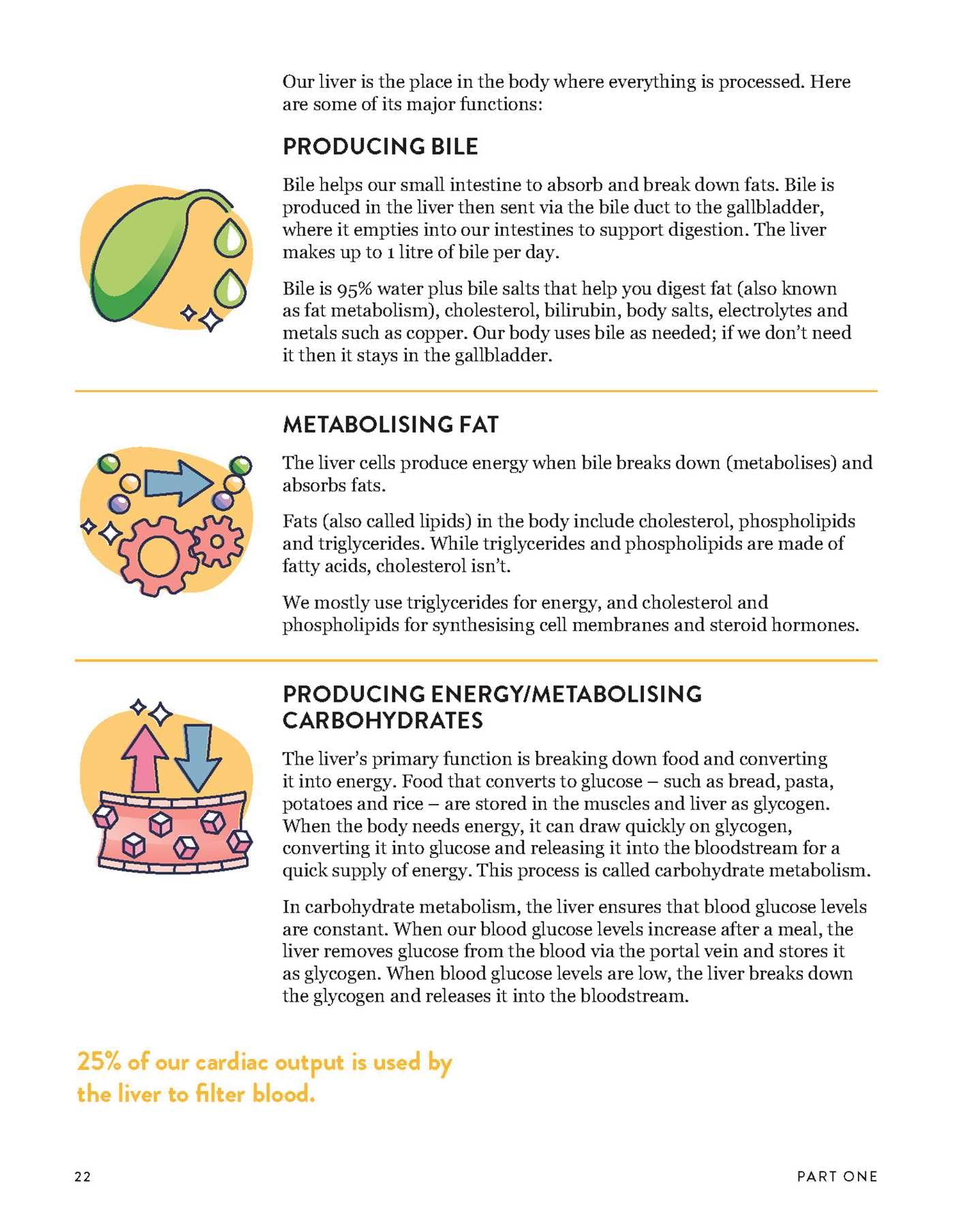 The Liver Repair Plan: Four Weeks to Better Liver Health