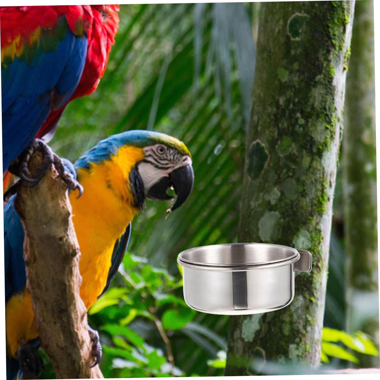 ibasenice Bol de Nourriture pour Oiseaux et Mangeoire Suspendue 4 Pièces en Acier Inoxydable Résistant la Rouille Tasse Détachable pour Perroquets pour Cage à Oiseaux