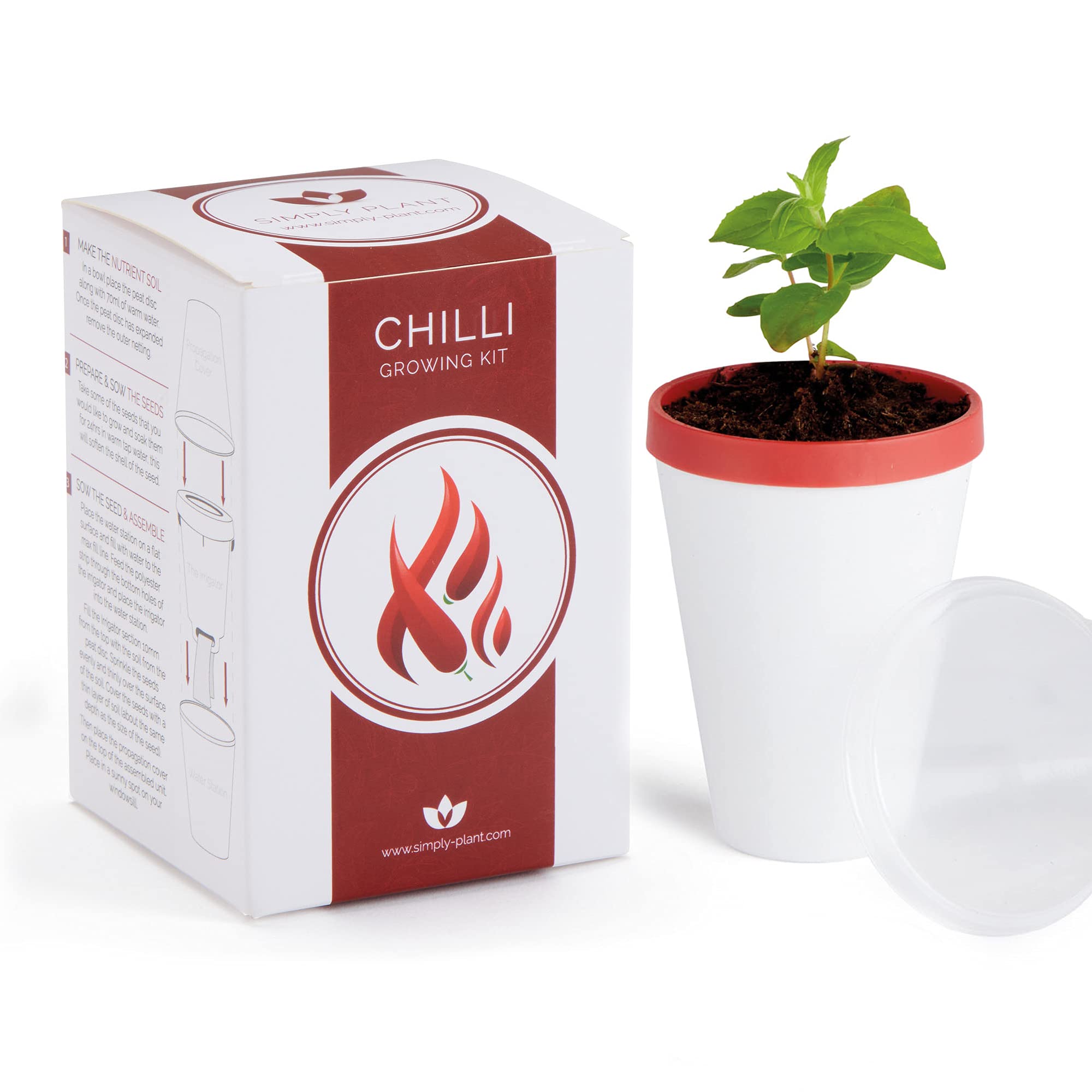 Vegetable, Herb and Chilli Seeds for Planting, Gardening Gifts for Men and Women (Mini Chilli Willy)