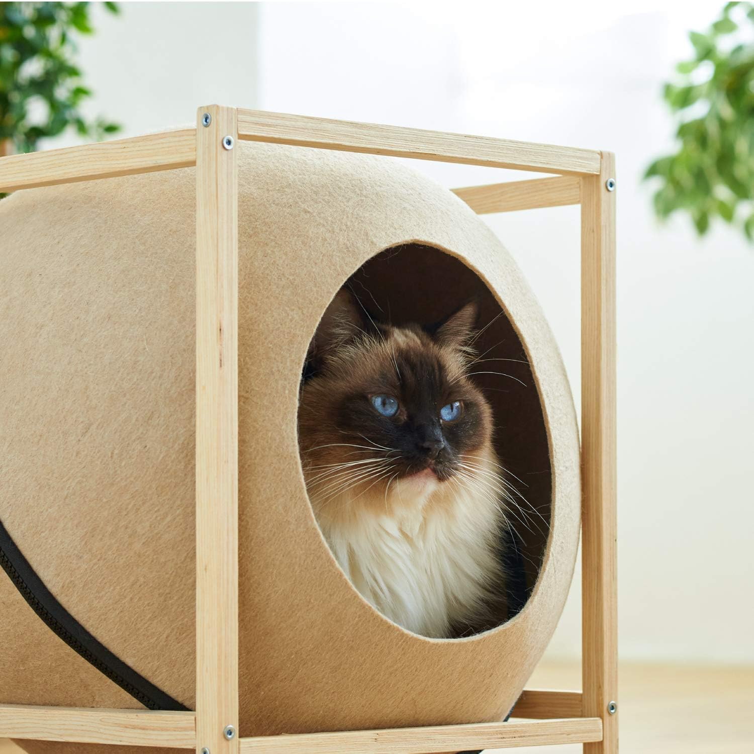 Amazon Oft キャットフェルトハウス たこやき ソース 猫 モダン オシャレ フェルト製 コクーン リラックス 寝床 キャットベッド 安眠 オールシーズン ドーム型 サイズ 約 外寸 幅41 奥41 高42cm 内寸 幅40 奥40 高40cm 入口 直径19cm 重量 約 1 2kg 材質 Amazon Oft キャットフェルトハウス たこやき ソース 猫 モダン オシャレ フェルト製 コクーン リラックス 寝床 キャットベッド 安眠 オールシーズン ドーム型 サイズ 約 外寸 幅41 奥41 高42cm 内寸 幅40 奥40 高40cm 入口 直径19cm 重量 約 1 2kg 材質