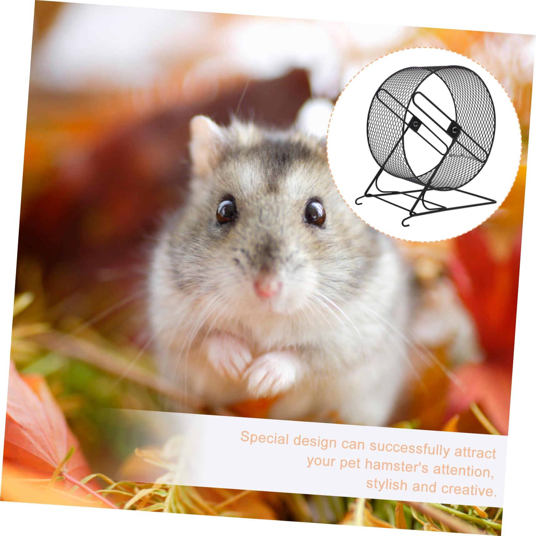 generic Ruota Da Corsa Silenziosa Per Criceti e Roditori Per Esercizio e Divertimento Design e Pratico Adatta Per Animali Come Gerbilli e