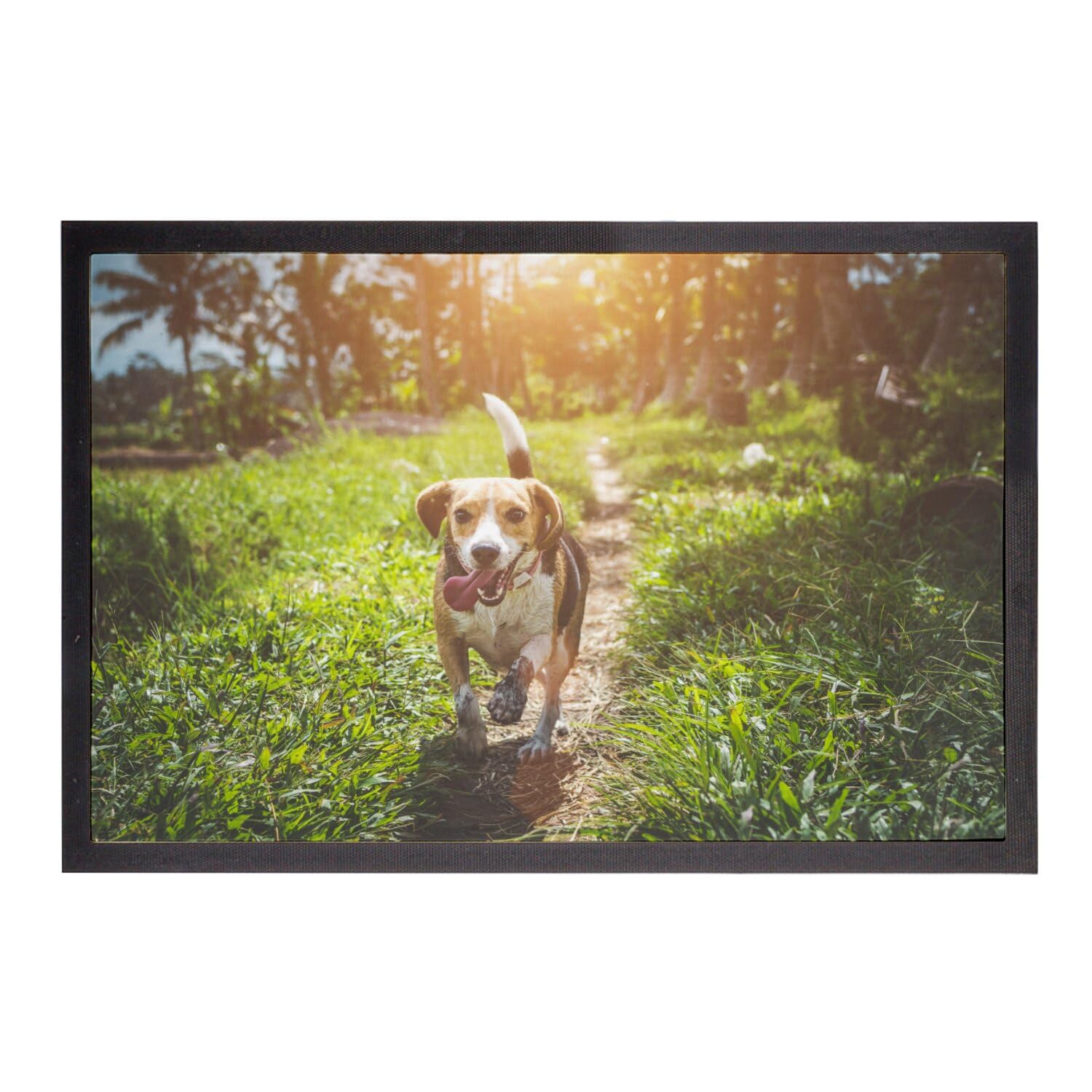 Paillasson Beagle robuste et absorbant dimensions 60x40cm