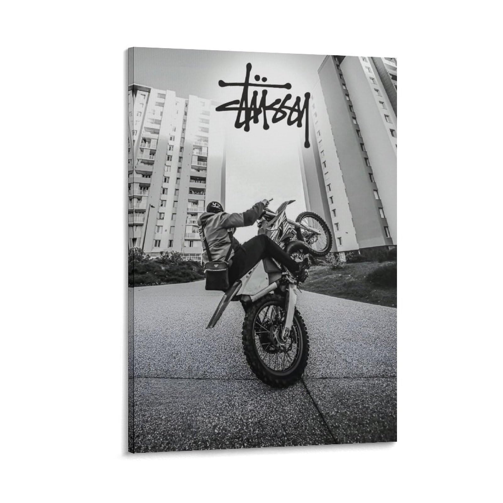 Amazon.com: Stussy Bike Poster Aesthetic Racer Biker Driver
