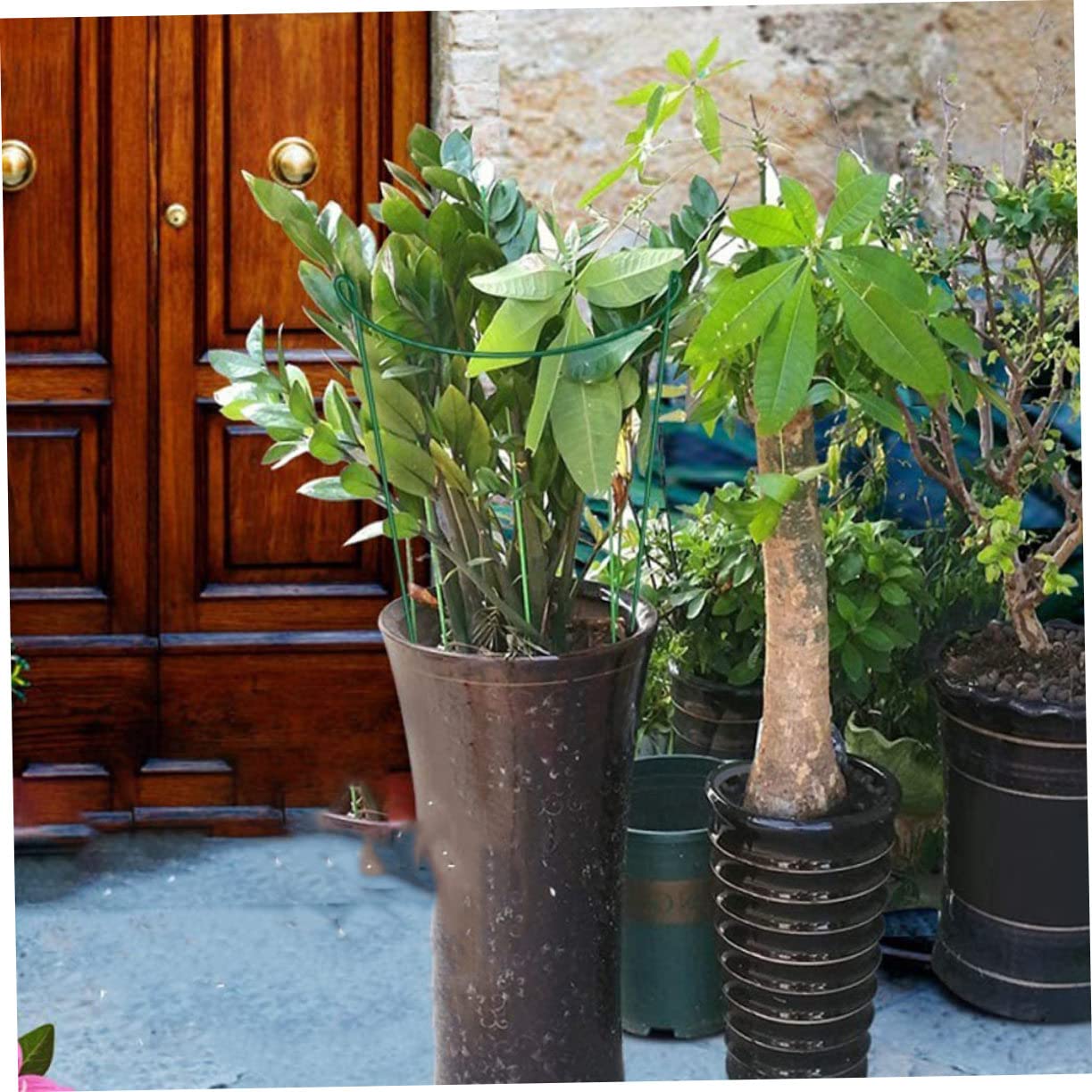 Lot de 6 Tuteurs pour Plantes en Fer Vert, Demi-Rond, Réutilisables, pour Guider Les Tiges et Soutenir Les Plantes Grimpantes au Jardin