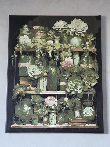 MEIYUDA Peinture par Numero Adulte, Plante succulente DIY Peinture à l'huile par Numéros sur Toile Artisanat avec Pinceaux, Decoration Maison Cadeau 40x50cm(sans Cadre