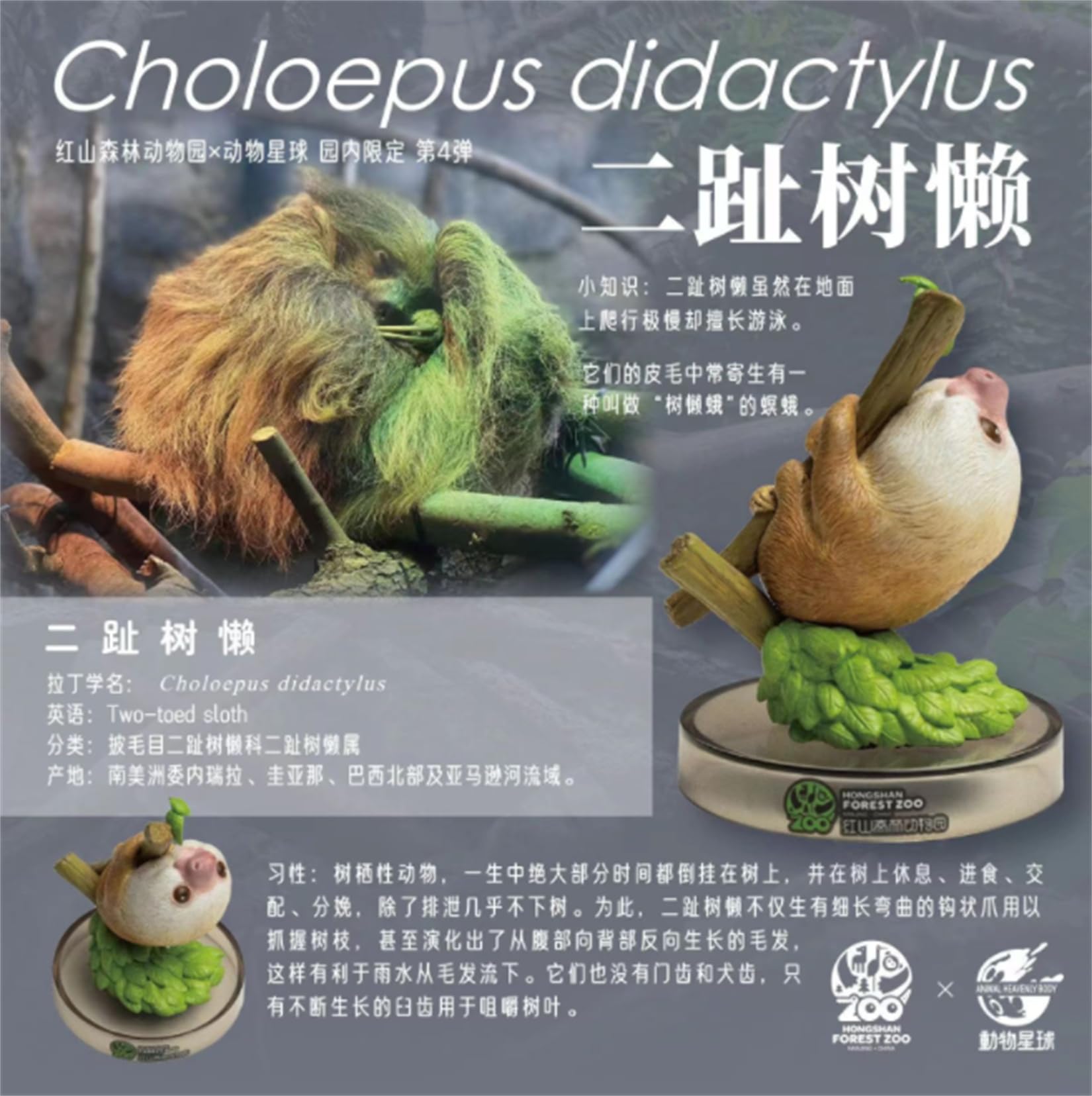カピバラ様、紅三四郎 Amazon.co.jp: BACALYSO | 紅山動物園 4.0 ガチャガチャ