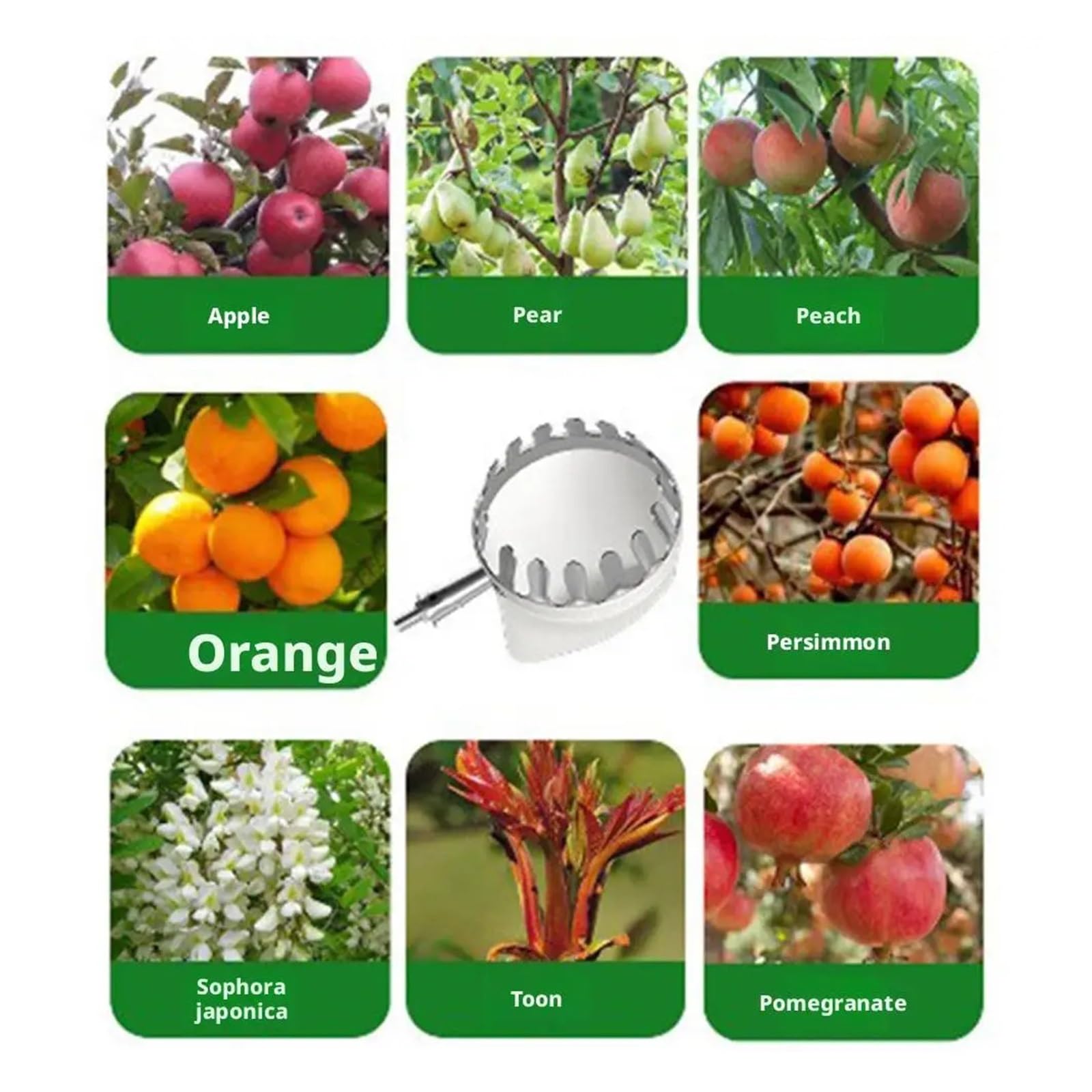 Leichter Baumgreifer, Teleskop-Obstpflücker aus Edelstahl, 16–20 cm Durchmesser, Pflücker | L-20cm