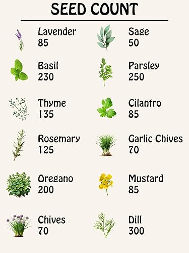 Miniatura 2 de Colección de semillas de hierbas, 12 variedades, incluyendo albahaca, perejil, romero, eneldo, cebollino, cebollino, orégano, mostaza, tomillo,