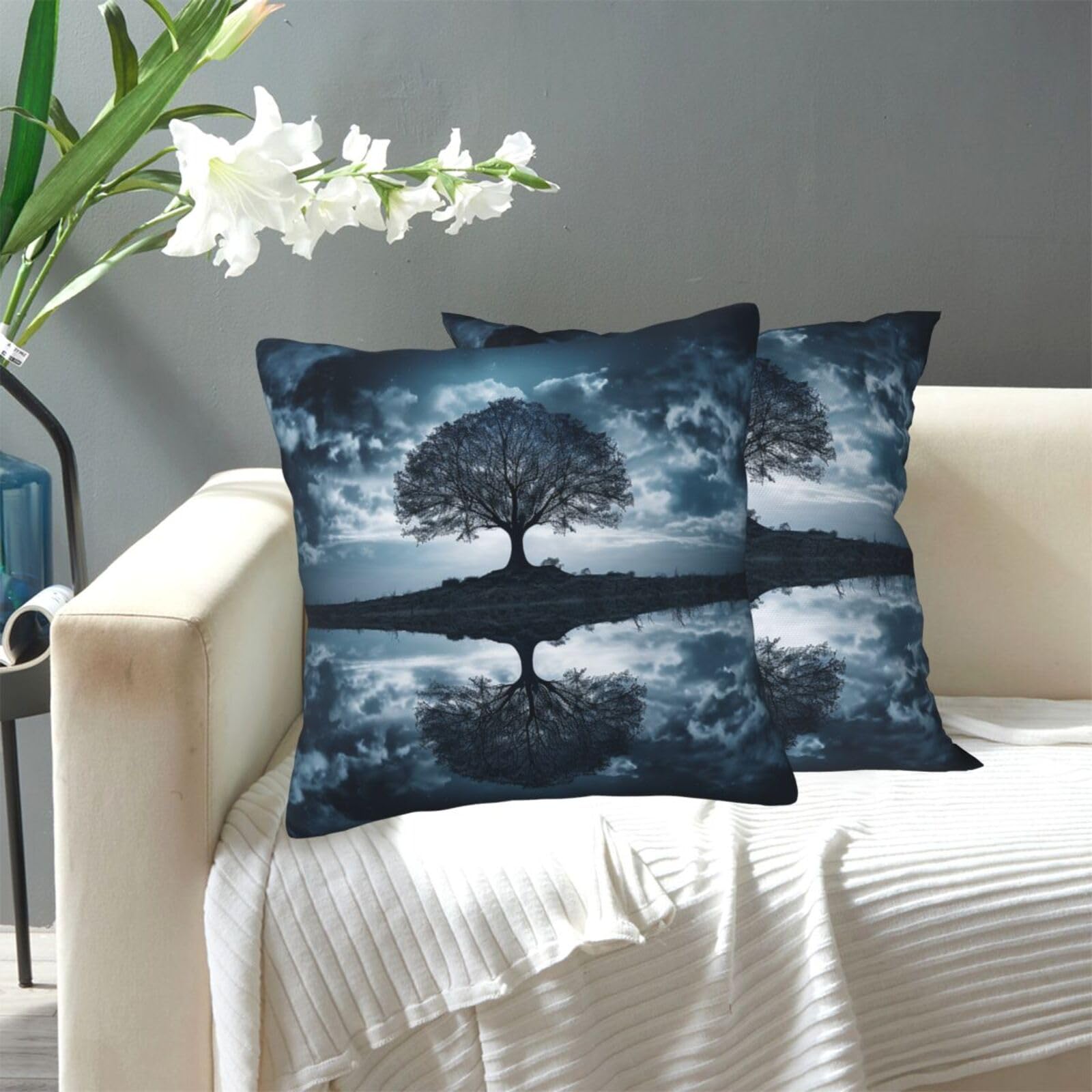 FekiLoot Decorative Throw Pillow Covers Modern Farmhouse Pillowcase Double Sided Cozy Cushion Cover for Sofa Couch Bed 20"X20" Reflection