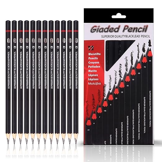 Corslet 12pc Sketch Pencil Set - Art Supplies for Beginners and Professional Artists - Graphite Drawing Kit With Shading Pencils for Sketching