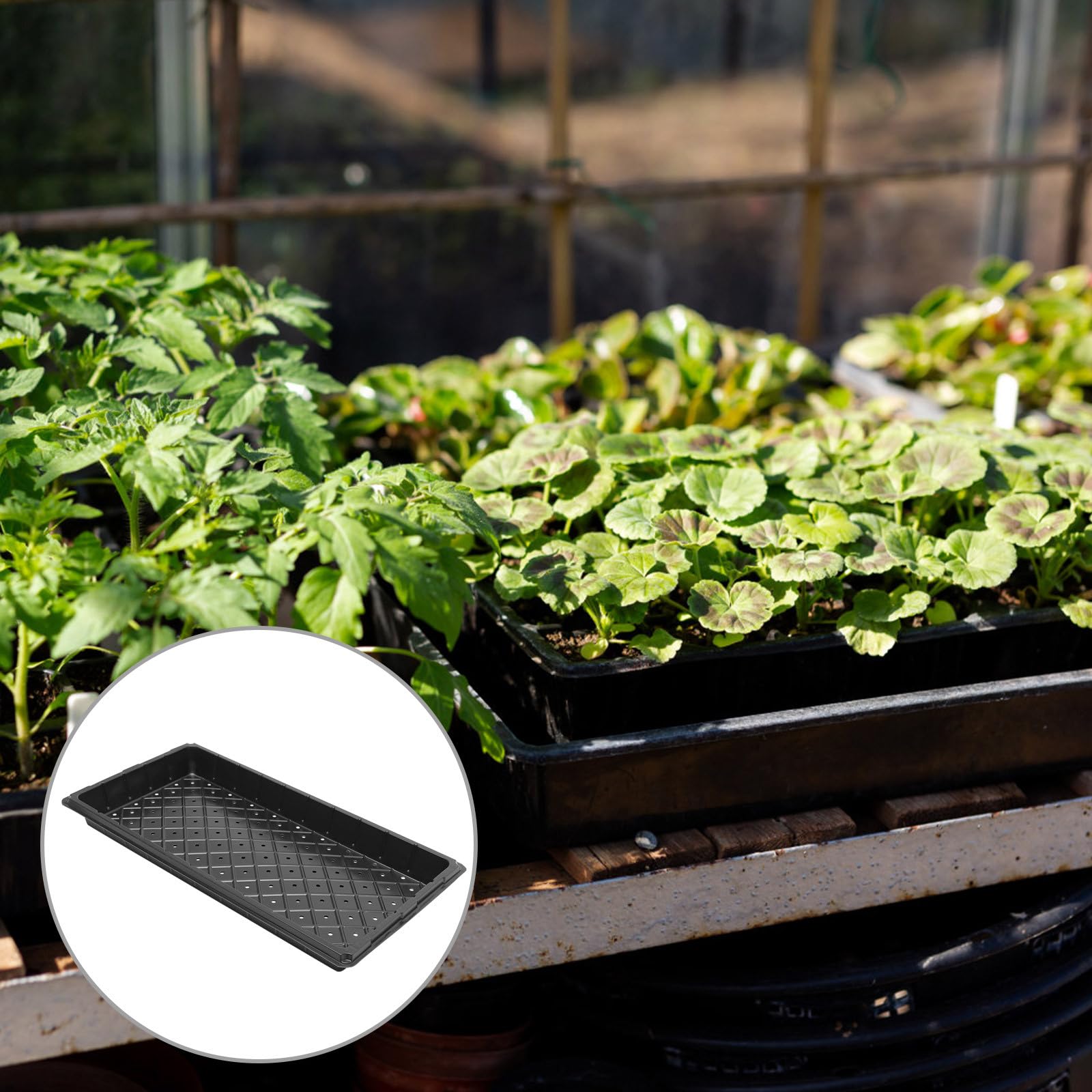 5 Piezas Bandejas para Germinación de Plántulas con Agujeros, Bandejas de Cultivo 1020 para Plantas de Interior y Exterior, Placa de Cultivo Reutilizable para Suculentas, Verduras