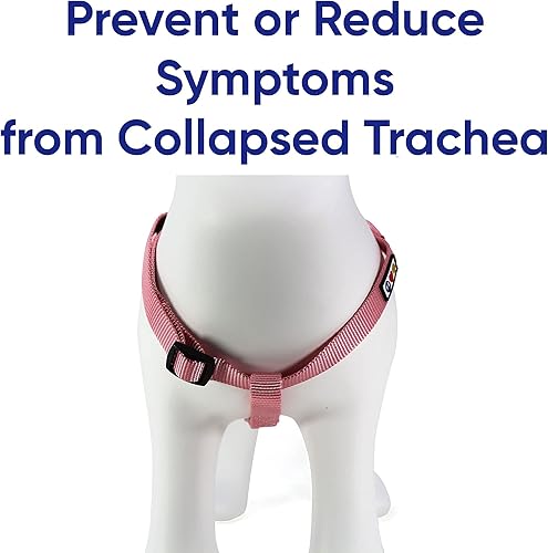 Miniatura 4 de Pawtitas Paquete económico  Arnés para perro pequeño + collar para perro pequeño + correa para perro extra pequeñapequeña de 6 pies - Juego de