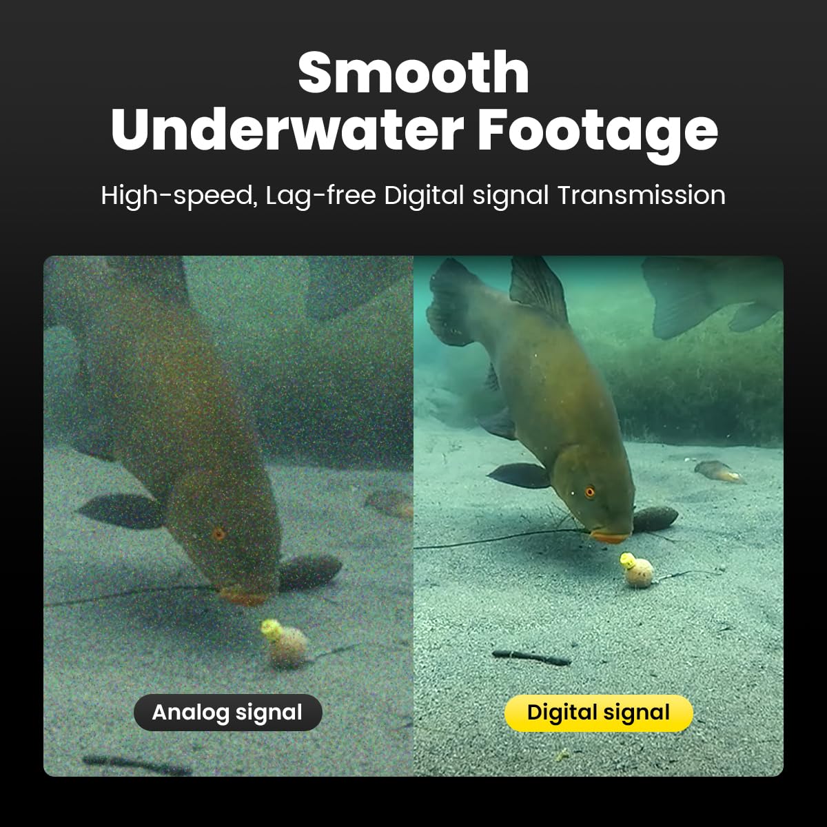 Chasing Canfish CF1 - Kit fotocamera per pesca subacquea, video portatile Full HD 1080p, controllo remoto tramite app, osservazione in tempo reale, fotocamera da pesca