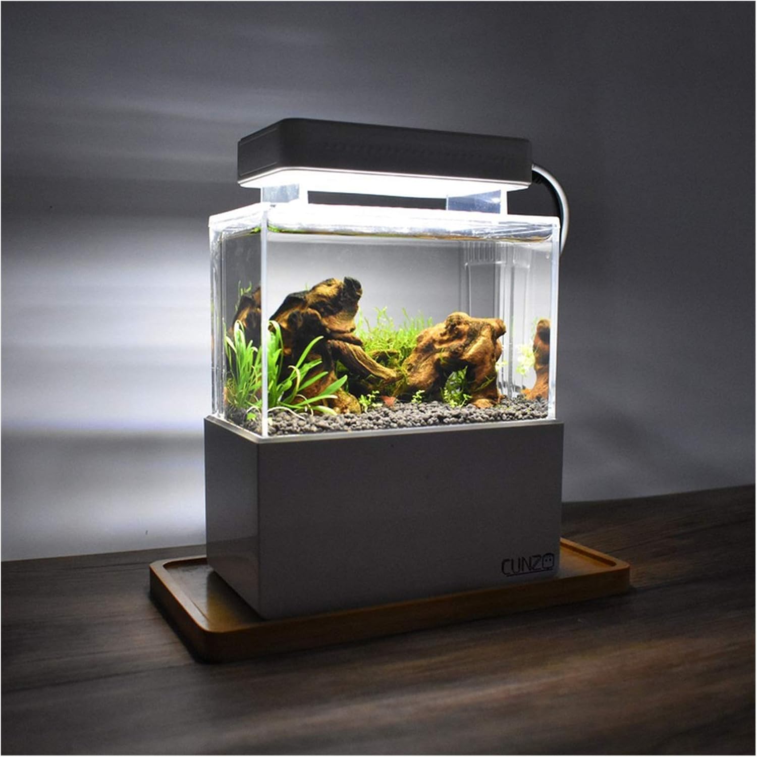 betta fish air pump