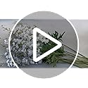 5pcs White Delphinium Artificial Flowers, 33" Silk Larkspur Faux Flower with Long Stem Fake Bouquet for Tall Floor Vase Kitchen Home Indoor Hyacinth Floral Plant Centerpiece Decor