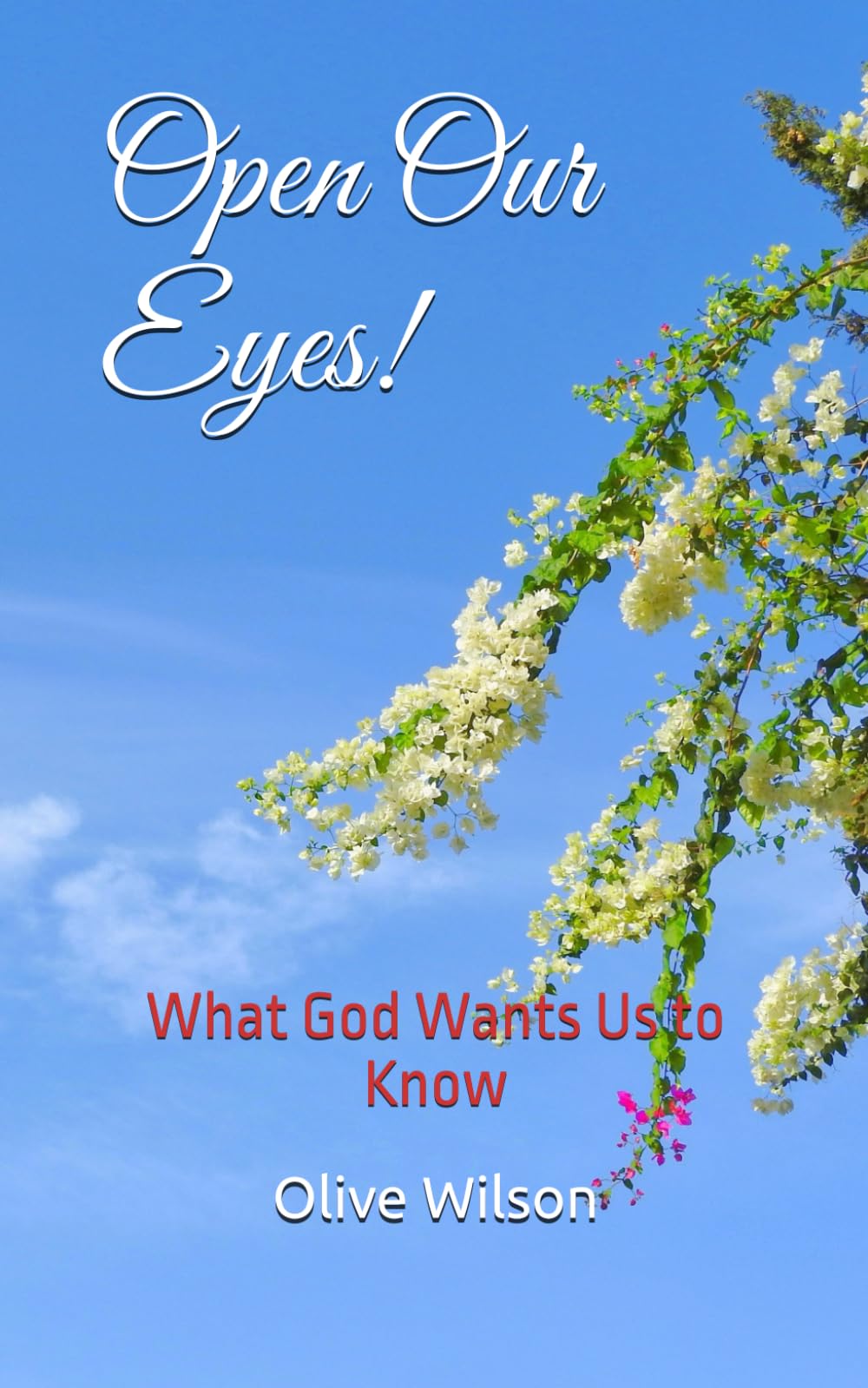 Open our Eyes!: What God Wants us to Know