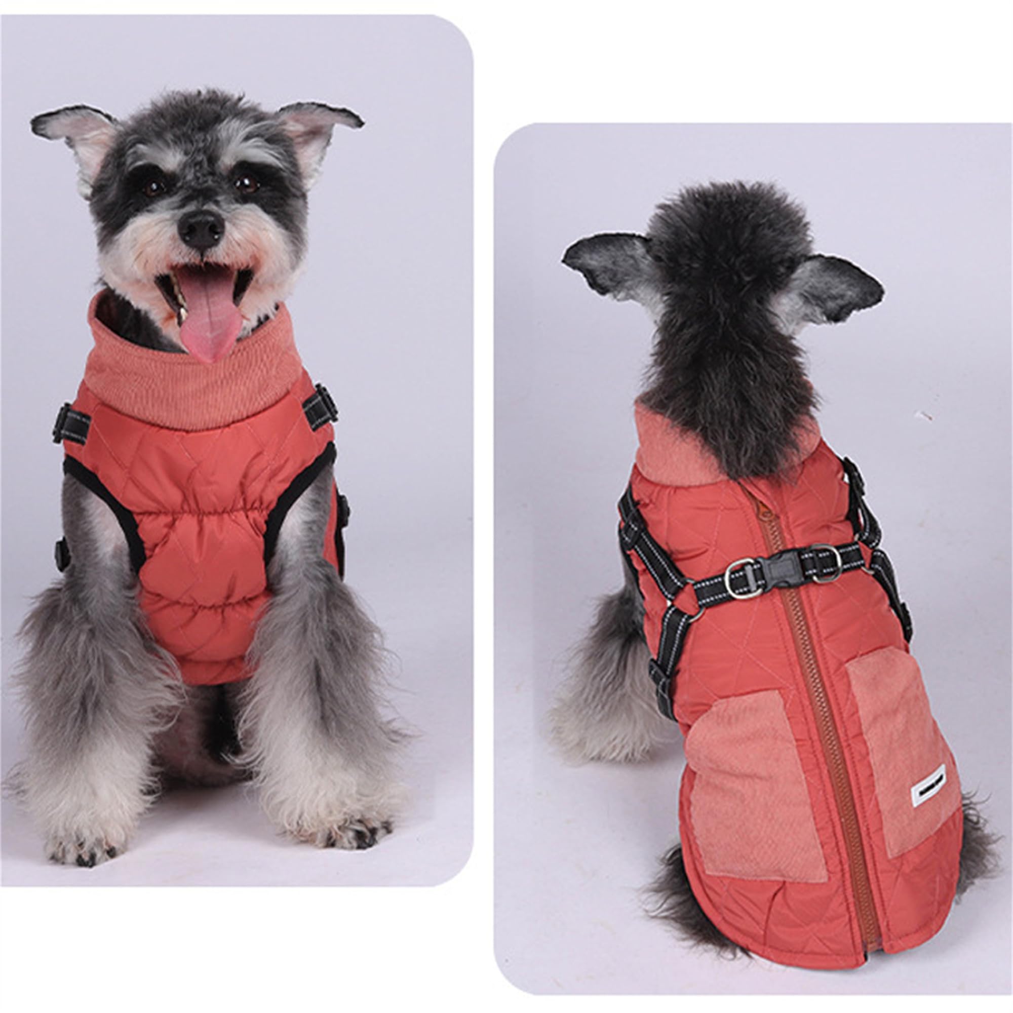 Amazon | JPETTOペット服 冬服 ダウンコート犬服 ダウンジャケット