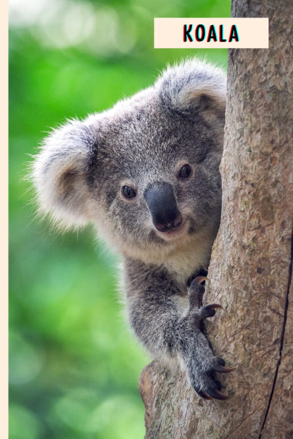 Koala: Perfect Koala Journal for Memories And Notes , Koala Notebook ( 110 Pages, 6x9 )