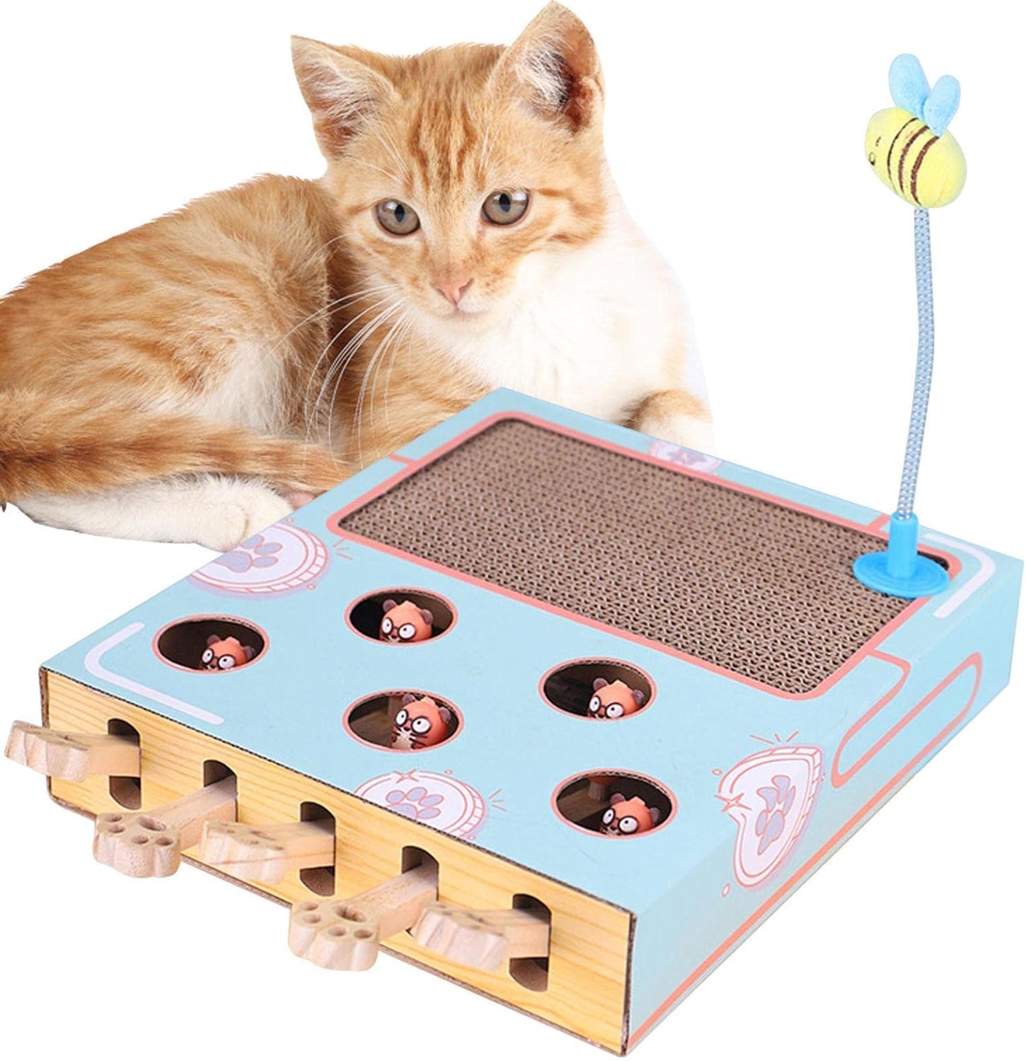 Cat Fun Box 3 In 1 Cat Interactive Toys Enrichment Toys For Indoor