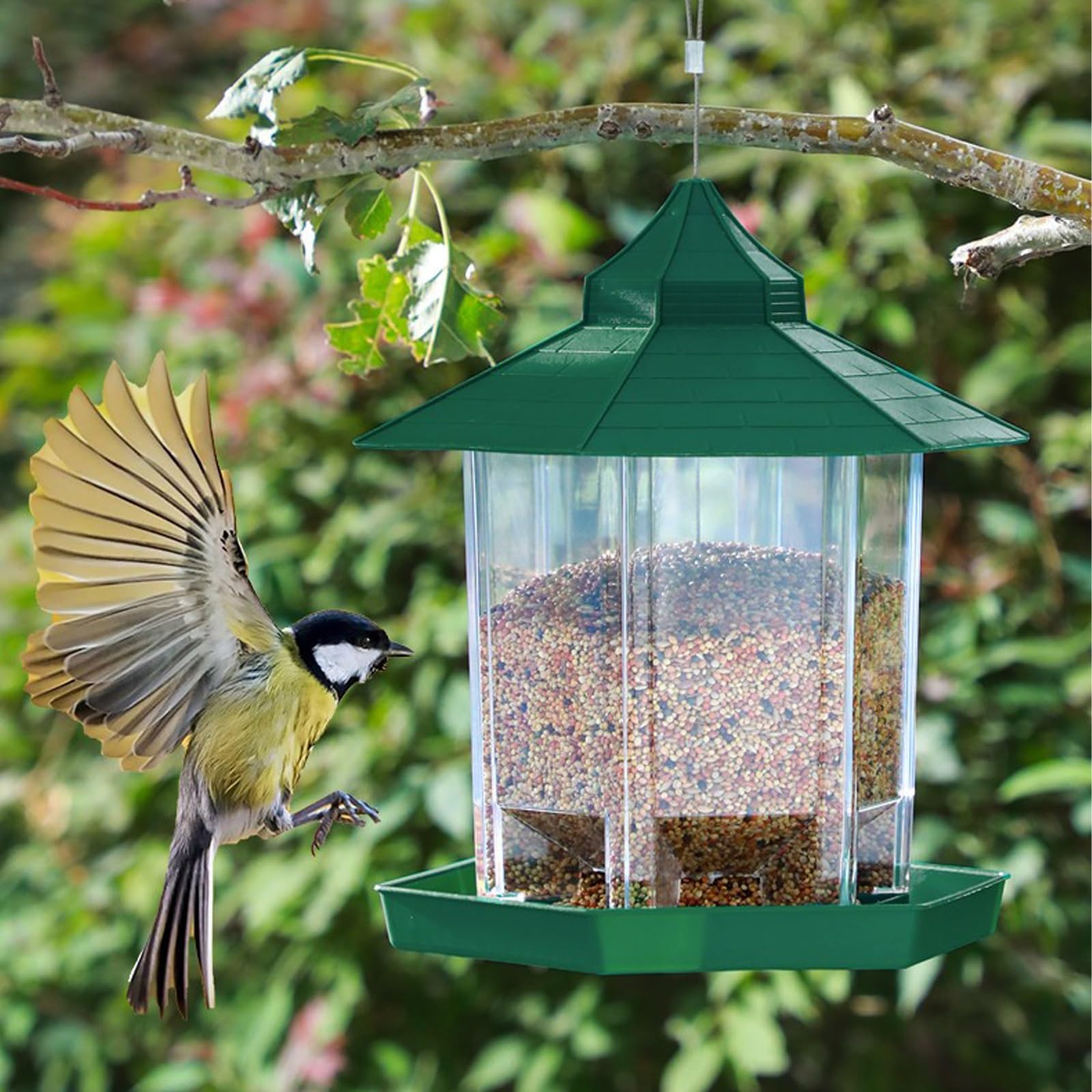 Comedero Pajaros Exterior, Bird Feeder, Diseño Colgante, Diseño Transparente, con Orificios de Drenaje en la Parte Inferior, para Patio o Porche