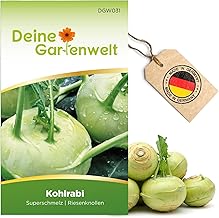 Kohlrabi Super Melting Seeds - Brassica oleracea - Kohlrabi Seeds - Vegetable Seeds - Seeds for 80 Plants