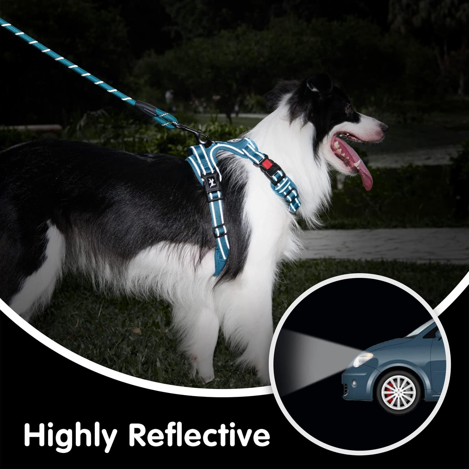 PoyPet No Pull Dog Harness and 5 Feet Leash Set, Release on Neck Reflective Adjustable Pet Vest, Front & Back 2 D-Ring and Soft Padded Pet Harness with Handle for Small to Large Dogs(Tumalo Teal,M)