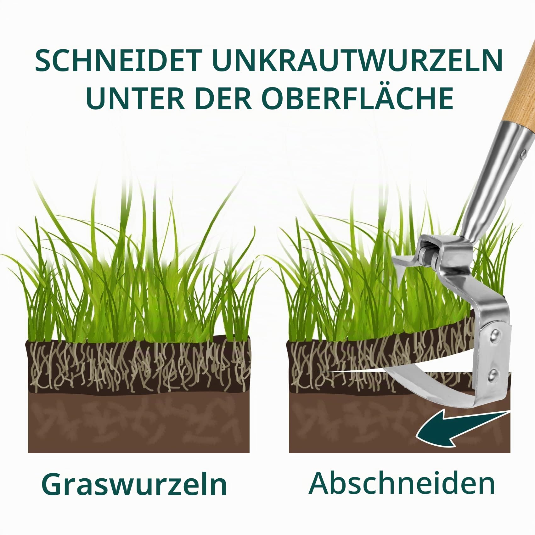 Berry&Bird Hula-Hacke, 160 cm Edelstahl-Bügelhacke, Aktionshacke zum Unkrautjäten, Scuffle Hoe mit Holz-Langstiel zum Jäten im Stehen auf dem Blumenbeet und zwischen den Pflanzen