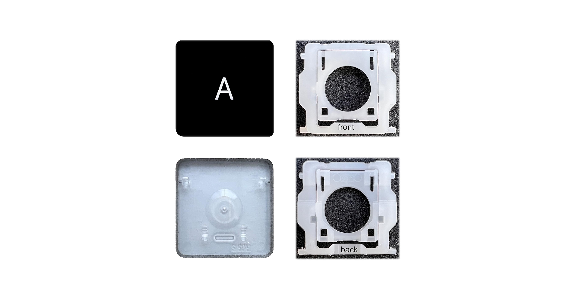 71T6V5YkdWL.jpg_BO30,255,255,