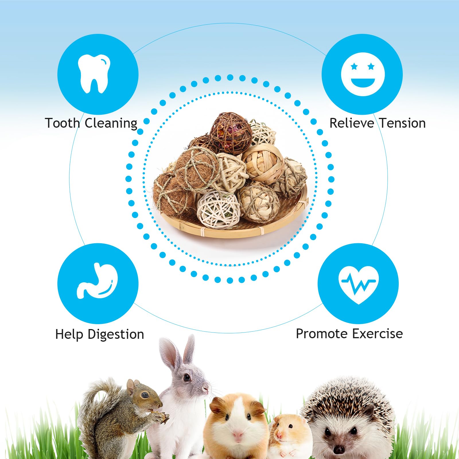 16 Pcs Small Animals Play Balls, Chew Grass Balls