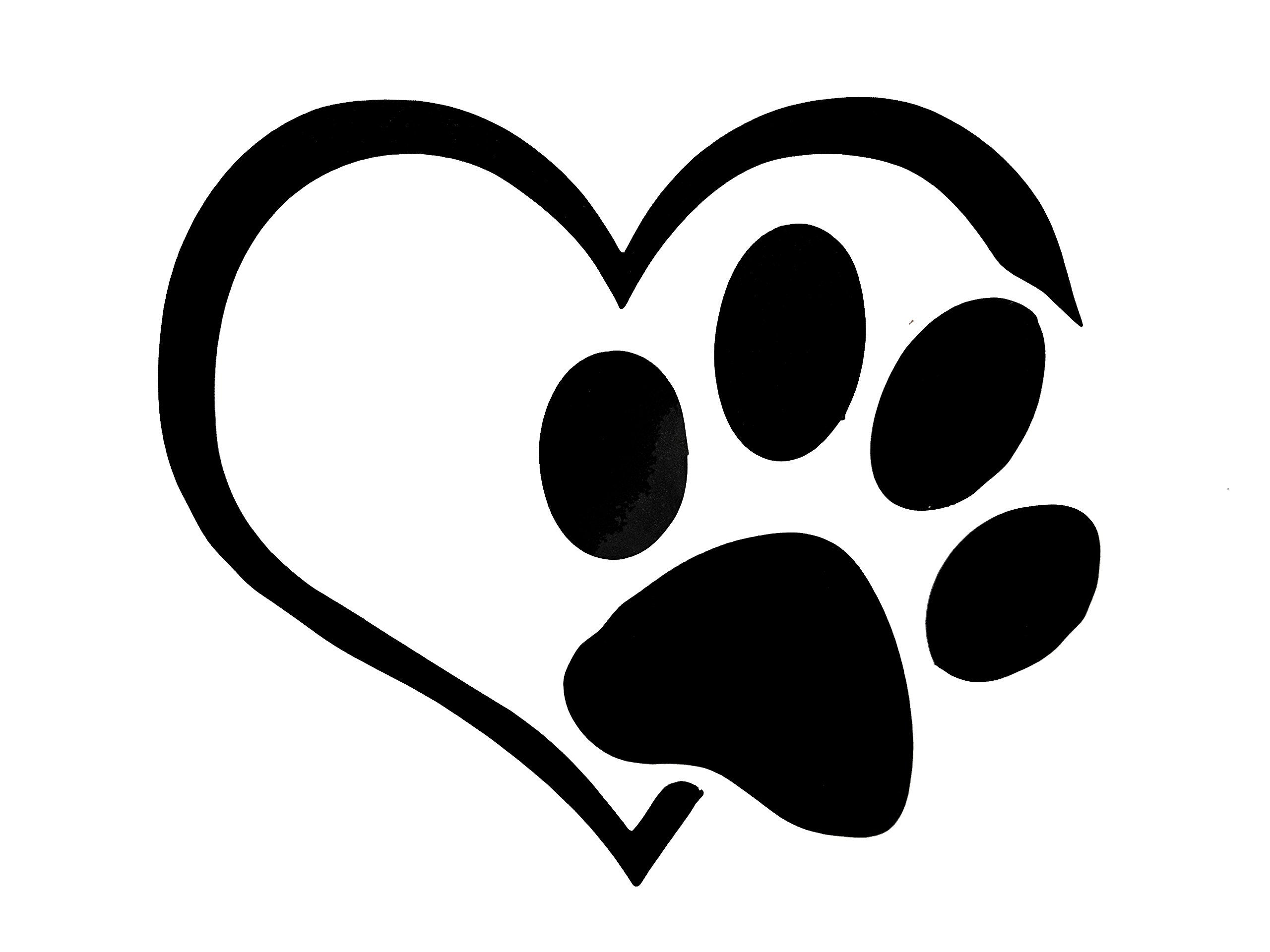 След собаки. Миска добра. Лапы кошки и собаки. Лапки собак и кошек. Лапа знак.