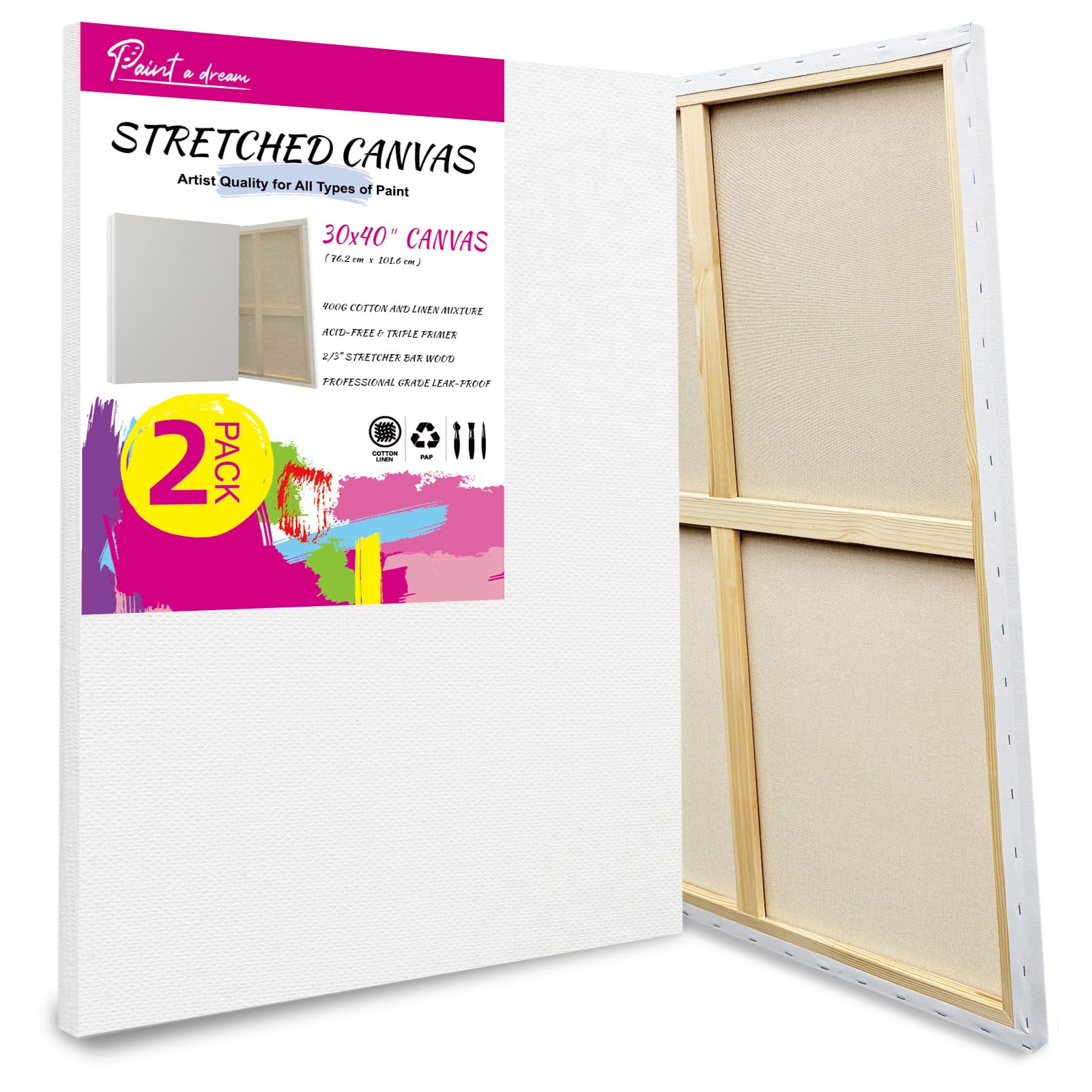 PAINT A DREAM Stretched Canvas