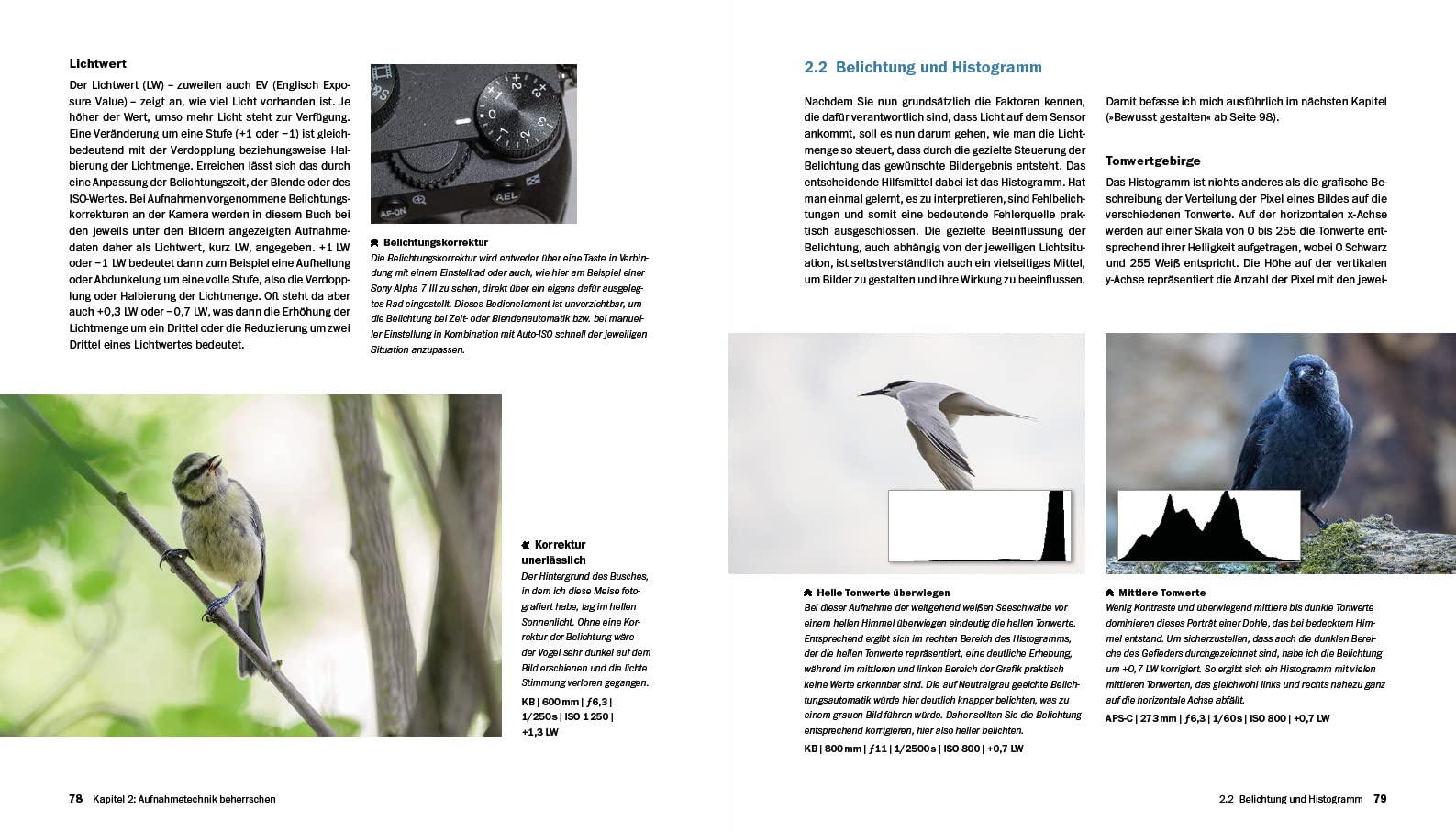 Vogelfotografie: Die große Fotoschule. Ihr praktischer Einstieg: Ausrüstung, Aufnahmetechnik, Bildgestaltung. Mit artenspezifischen Informationen