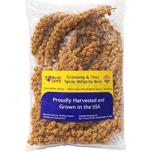Birds LOVE Millet Tips & Tails for Birds - Parakeets, Cockatiels, Lovebirds, Finches, Budgies, Canaries, Cockatoos - Natural & Healthy Millet for Birds - Parakeet Food & Treats for All Parrots, 1lb