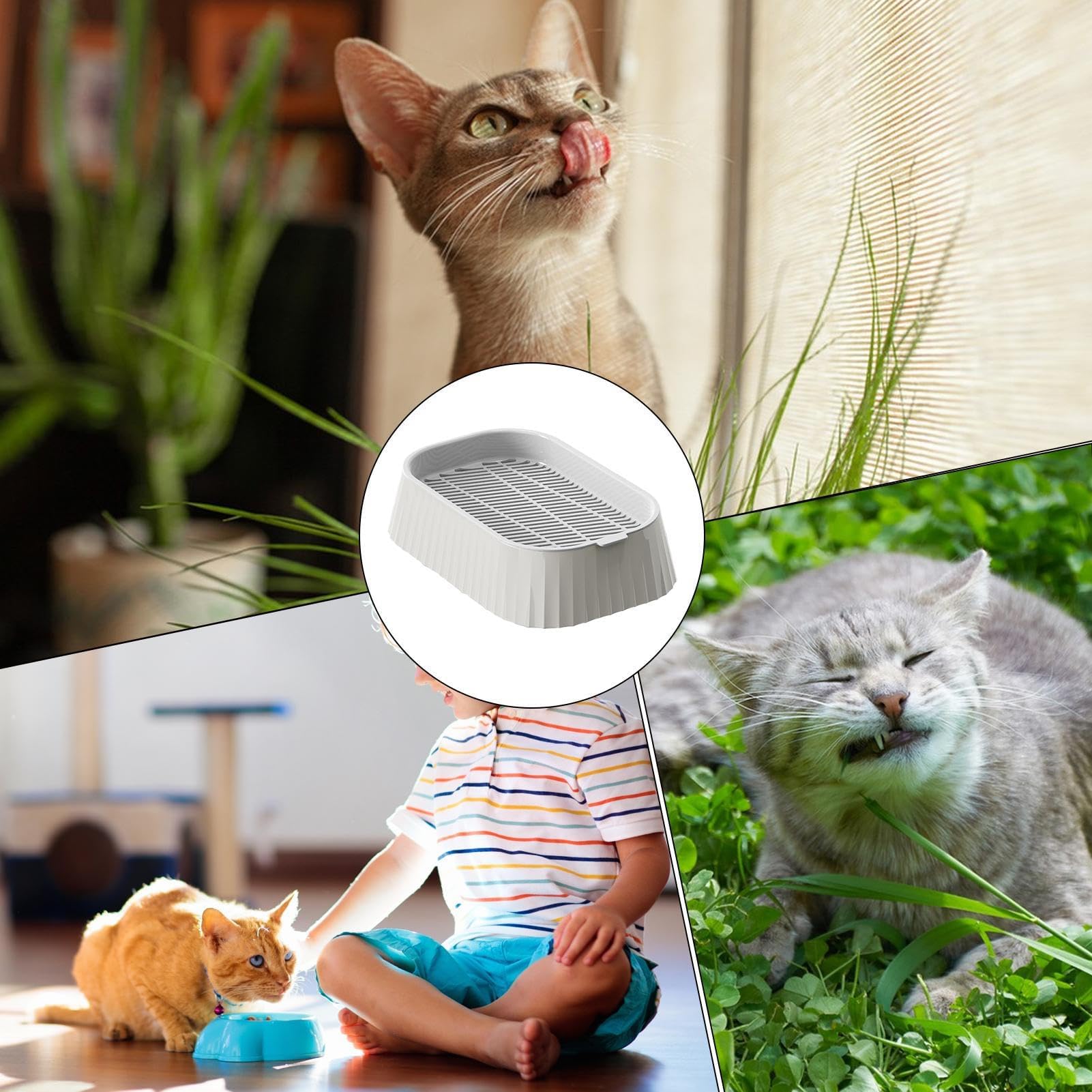Amazon.co.jp: 猫草プランター 栽培キット - 猫草プランター 水耕栽培 
