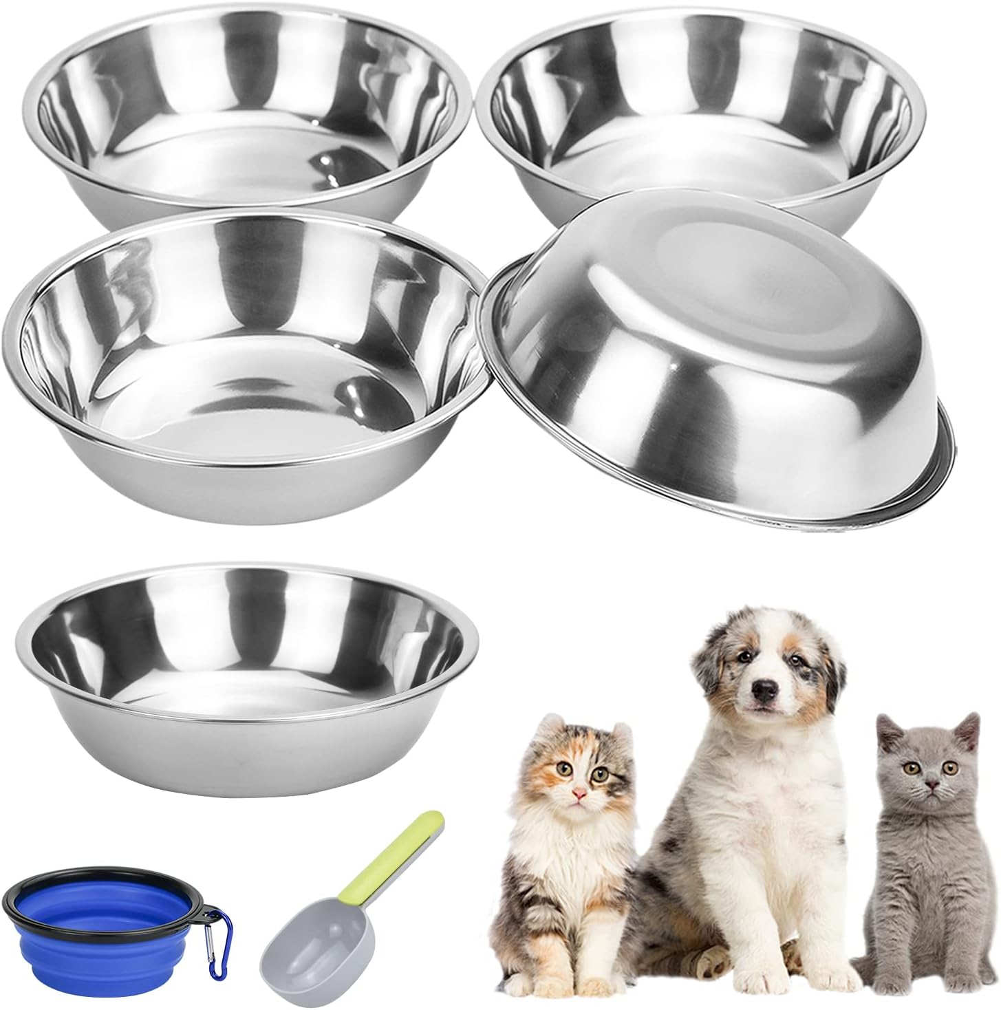 11-teiliges Katzennapf Set Flach - Bunte Näpfe Für Kätzchen & Kurzbeinige Katzen