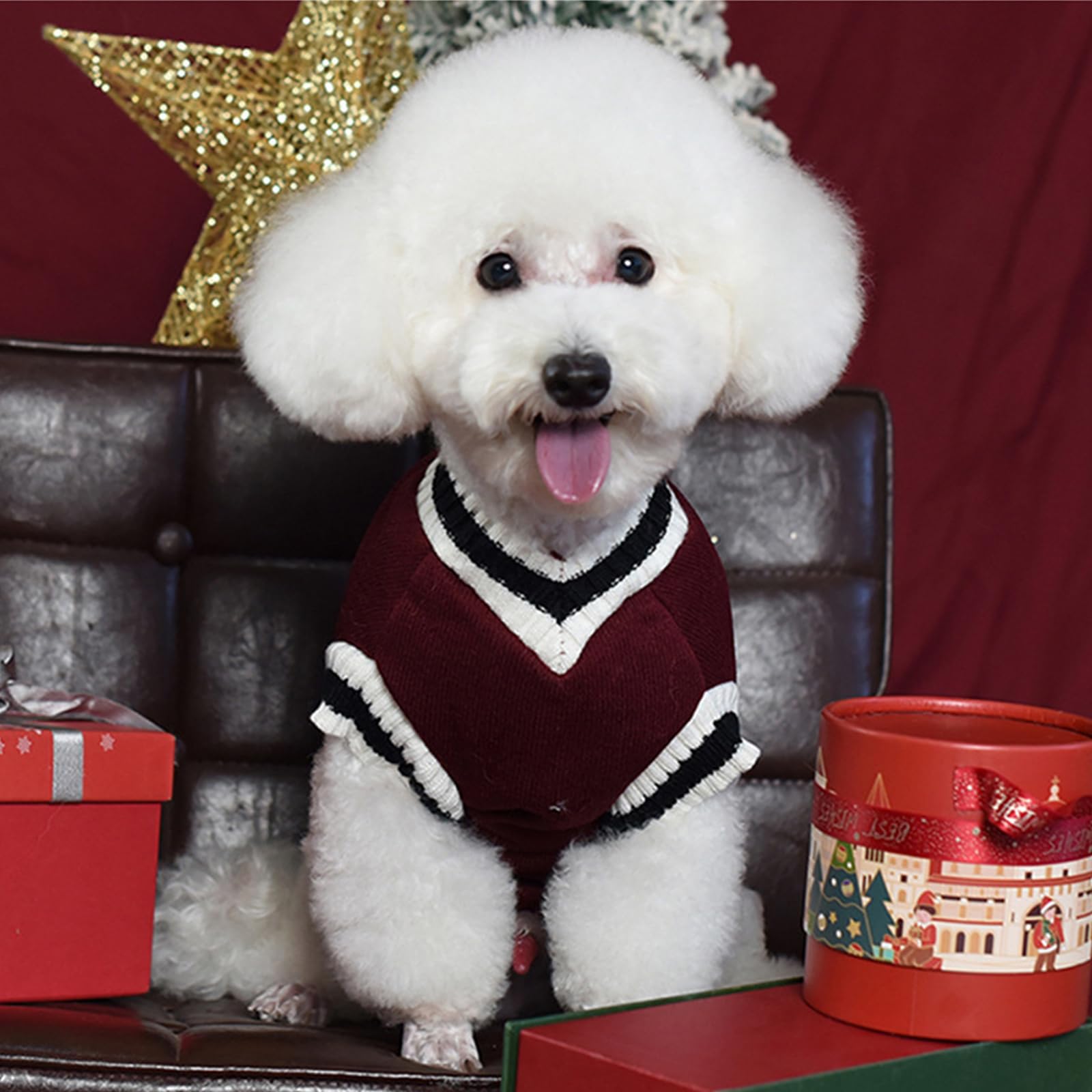 2 Pezzi Maglione Cane Taglia Piccola, Vestiti per Cani Inverno, Cappottino Cane Taglia Piccola Calda, Cappottino per Cani con Interno in Pile Sottile per Freddo Esterno, Verde e rosso, M