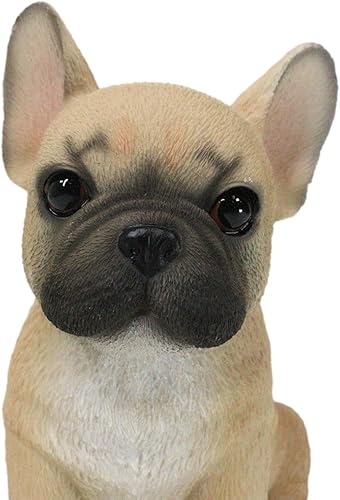 Vista 3 de Ebros Gift Figura realista realista de cachorro de bulldog francés de leonado de 6 pulgadas de alto, animal de perro francés, coleccionable