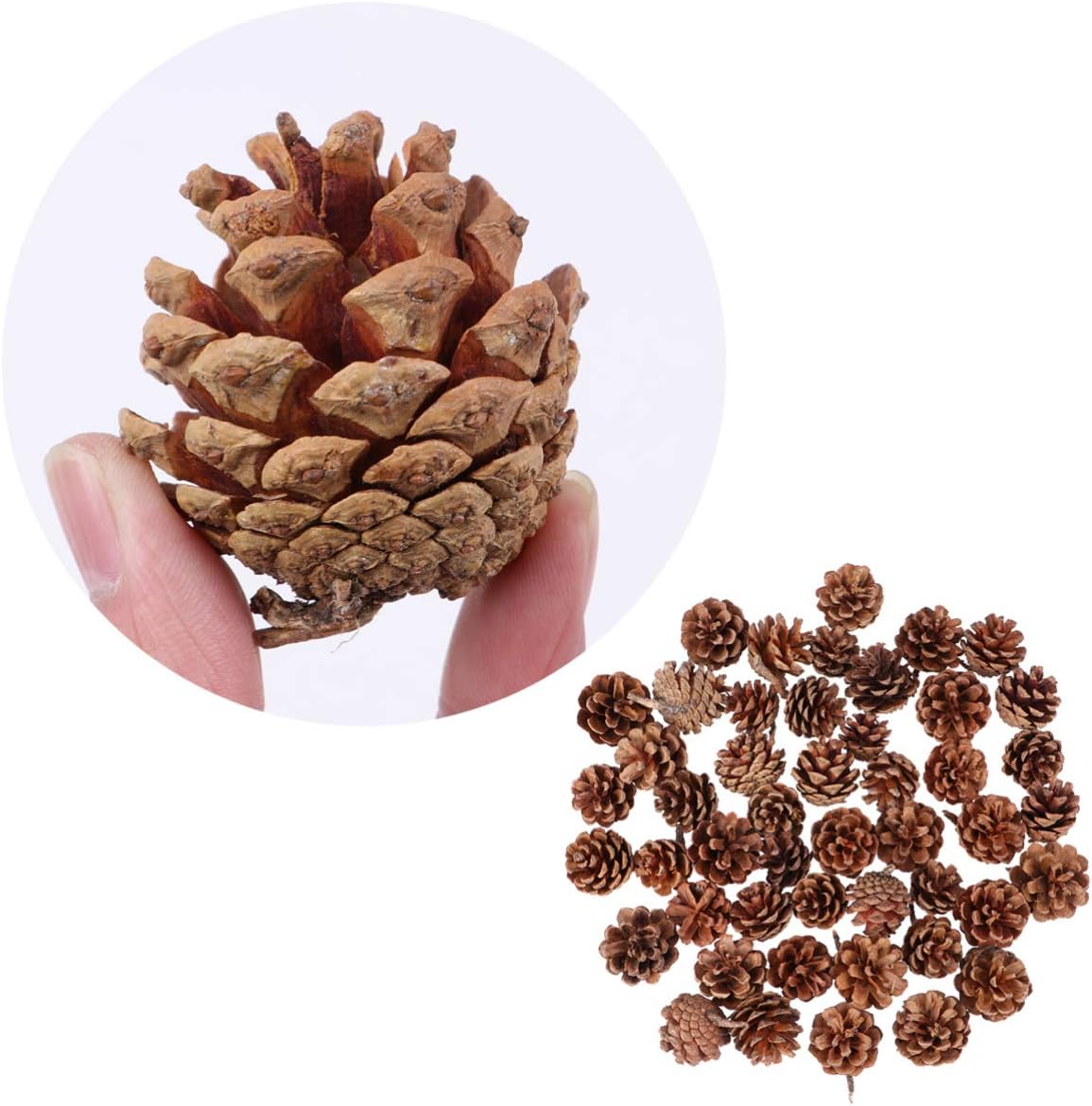YYZKYTO Artificial Pine Cones 48pcs Christmas Natural Pine Cones Christmas Tree Pinecone Rustic Pinecones Vase Filler for Xmas Fall Autumn Winter Holiday Thanksgiving Harvest Wedding Commemoration Day