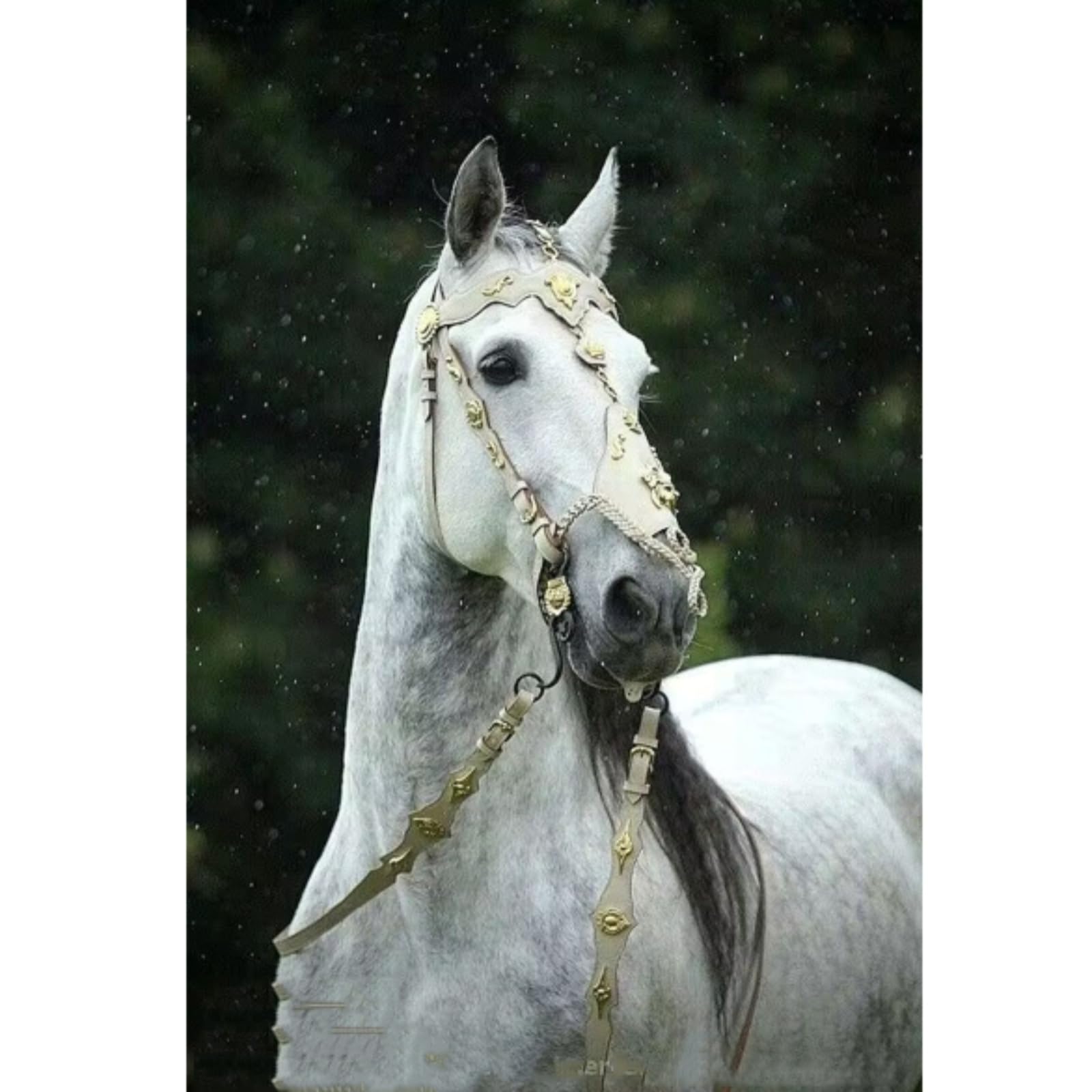 Riendas de Caballos de Cuero Retro, artículos ecuestres, Equipos de Caballos, Fundas de Jaula de Plomo de Cuero