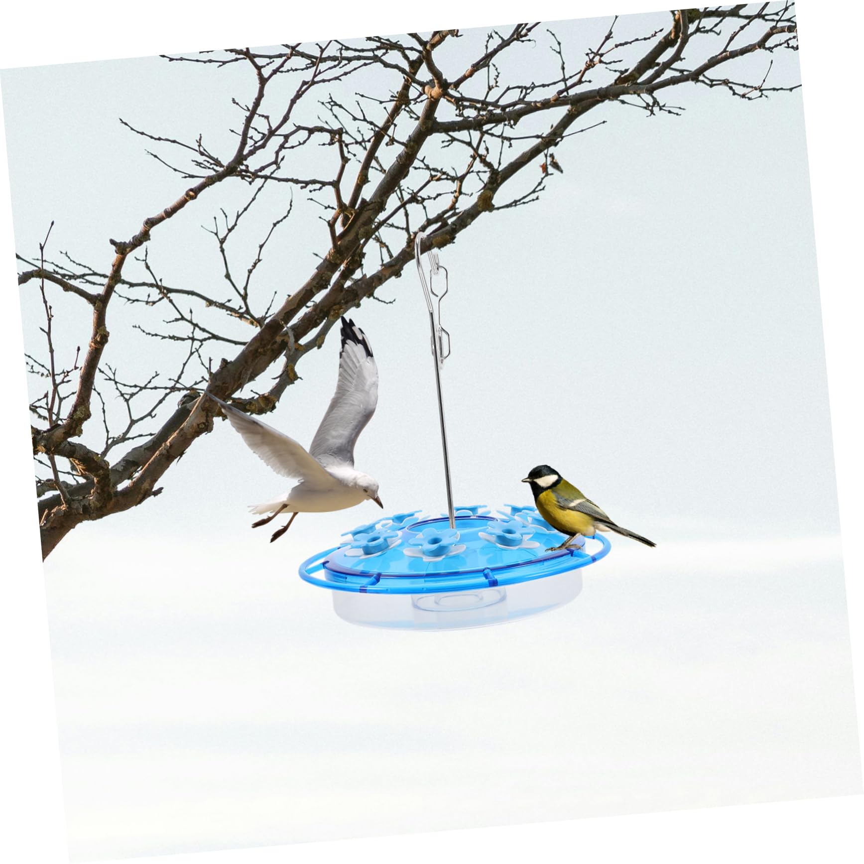 2pezzi Mangiatoia per Colibrì Sospesa Decorativa Contenitore per Cibo per Uccelli da Giardino Parte di Mangiatoia per Colibrì