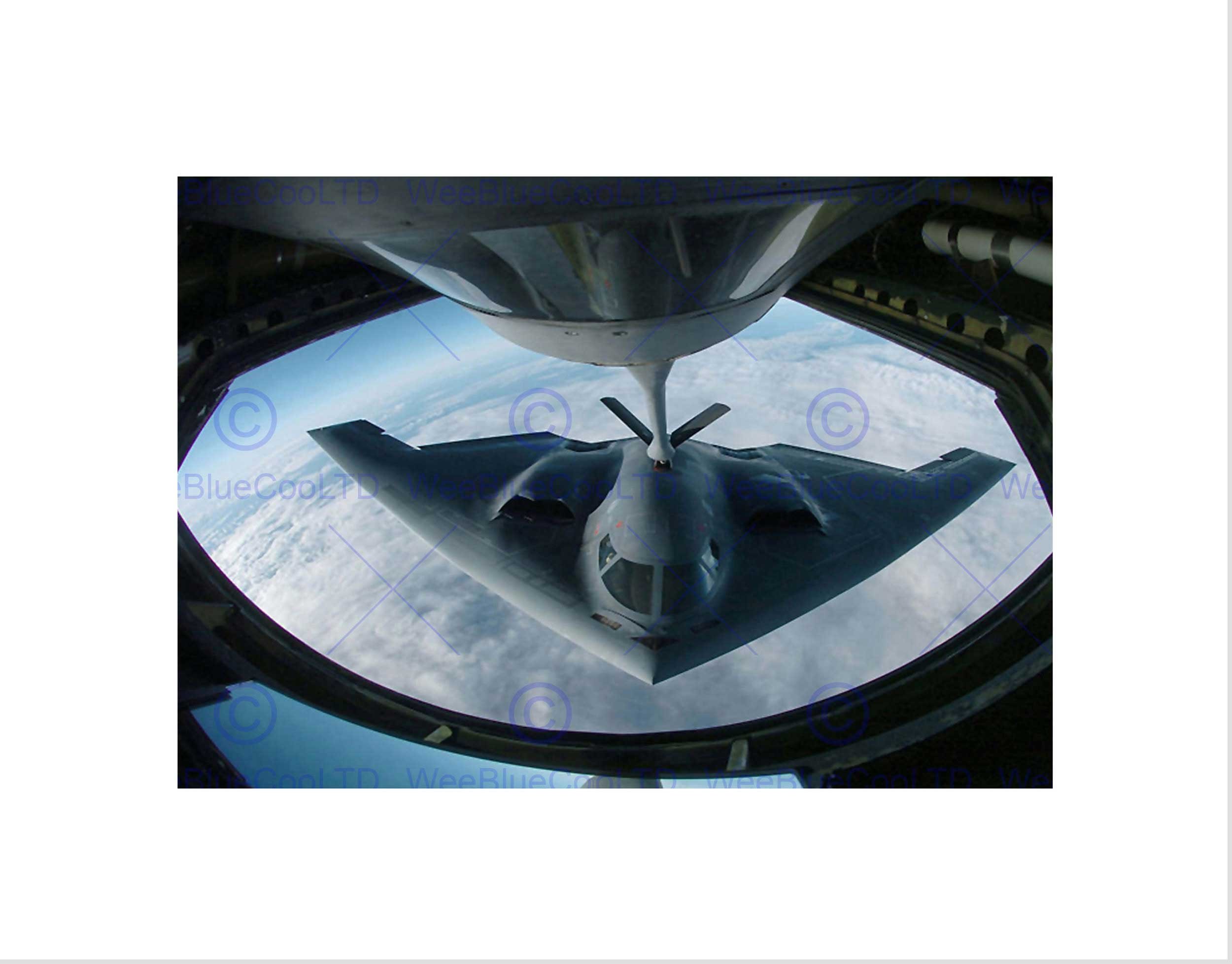 Wee Blue Coo Military Air Plane Fighter Jet B-2 Spirit Bomber Stealth Wall Art Print