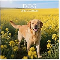 VALOME 2026 Dog Breeds Wall Calendar - 12 Month Hanging Planner, 12x24 Inch Large Format, Thick FSC Paper for Home Office