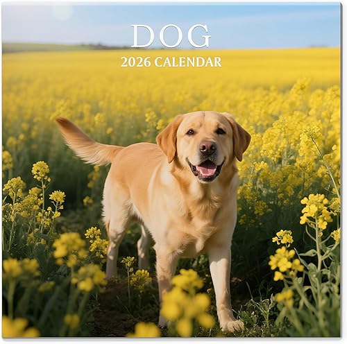 2026 Calendar, Wall Calendar 2026, Dogs 12 Month Wall Calendars (Jan - Dec 2026) 12" x 24" Opened, Hanging Monthly Calendar Thick Paper for Kids Family Adults Office Home