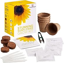 Stunning Sunflower Seed Growing Kit - Grow Your Own 5 Varieties of Contrasting Flowers in one Seed Grow Kit, A Perfect Gardeners Gift, Grow Your Own Flower Kit by Thompson & Morgan