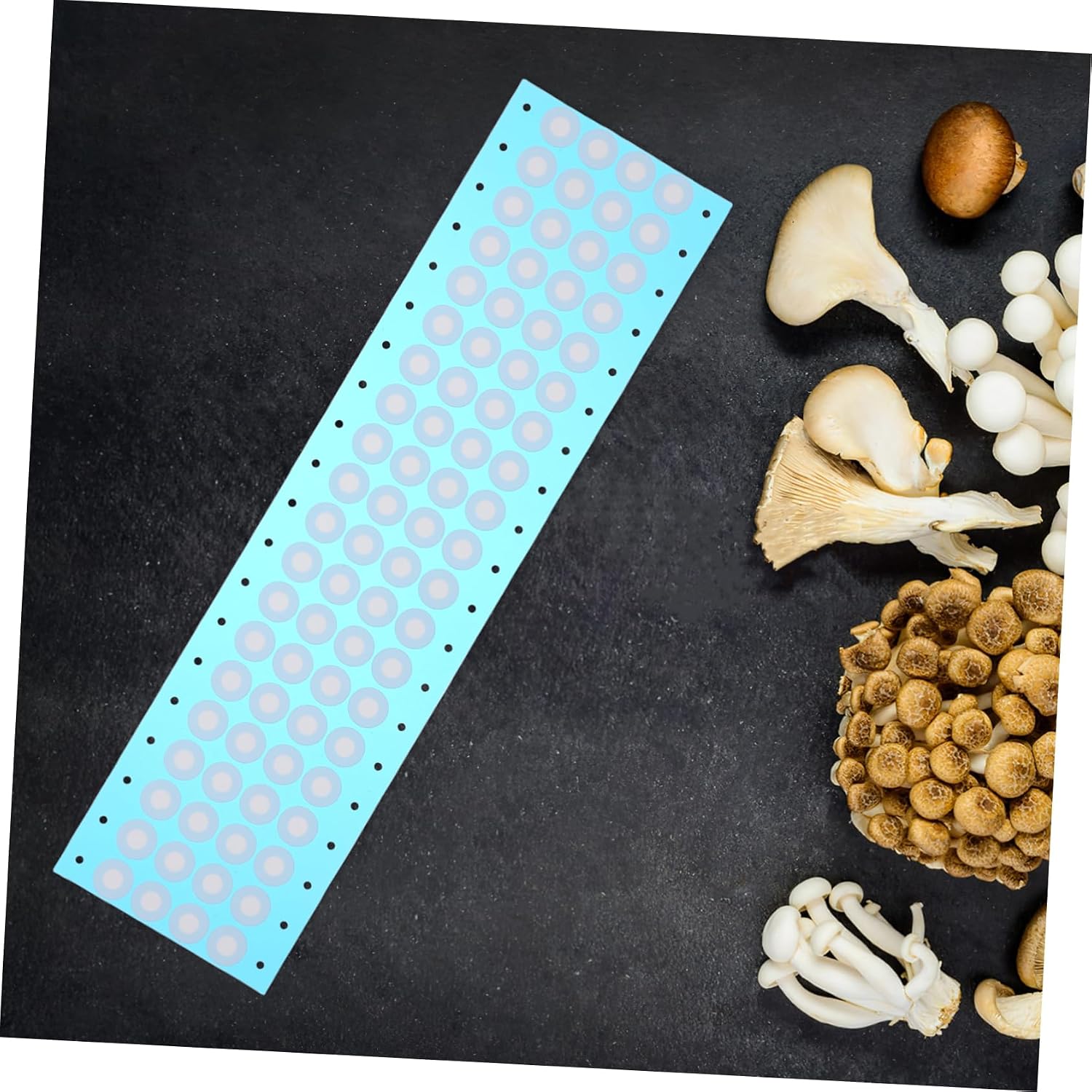 Synthetic Filter Stickers for Wide Mouth Mason Jars 80pcs