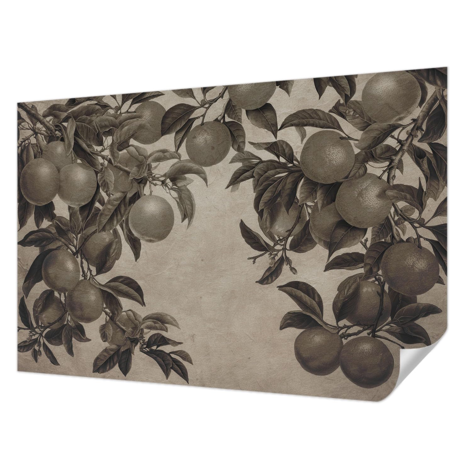 Papier peint autocollant modèle de fruit Tulup pour transformer la chambre à coucher