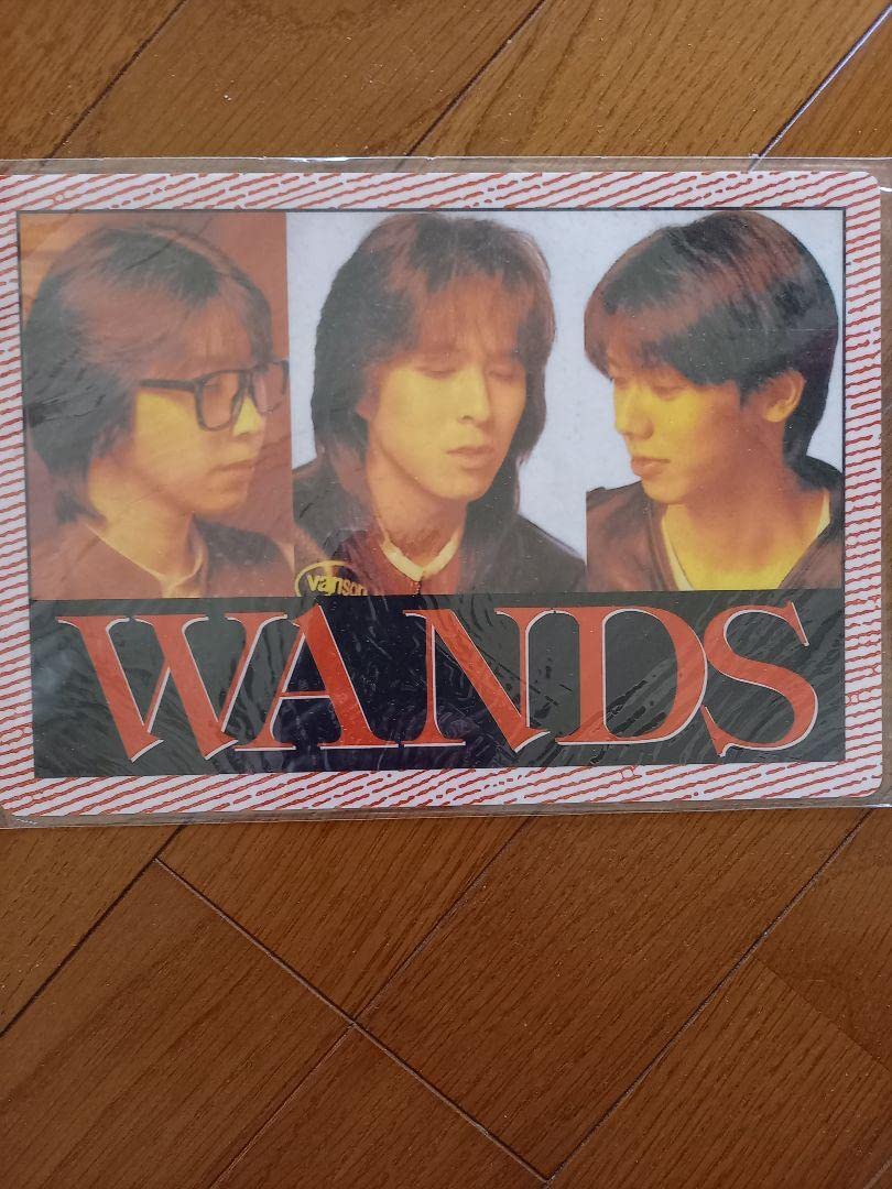 WANDS 下敷き