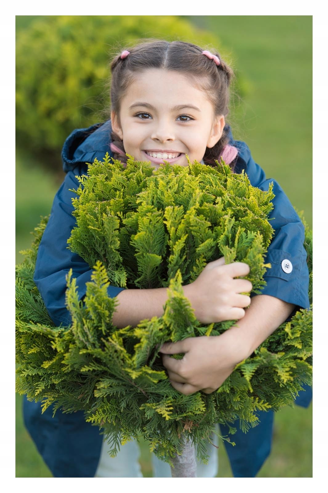 CHISSO MAGNESIUM 24KG Fertilizzante al magnesio contro l'ingiallimento per conifere come thuja e tasso