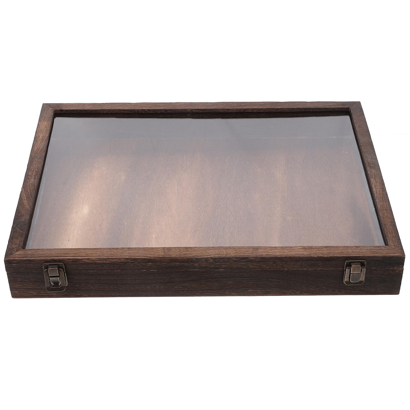 Holz Präparations Showbox mit Transparenter Abdeckung, Braun | Rechteckige Vitrine für Schmetterlinge und Pflanzen, Große Kapazität, Schützt Mehrere Exemplare