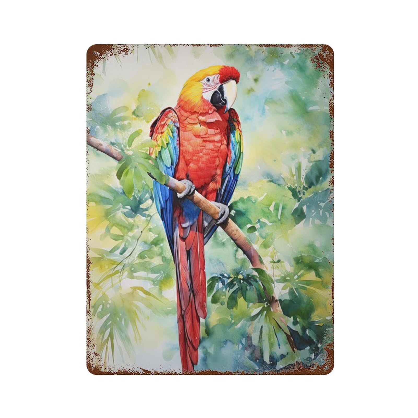 Rainbow Macaw Watercolor Rust Effect Tin Sign 15.7"x11.8", Ideal for Farmhouse, Kitchen And Entryway Decor
